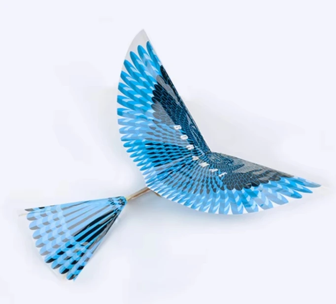 Oiseau Volant à Élastique – Modèle En Bois STEM – Jouet Éducatif Aérodynamique – Bricolage – Enfant 8+