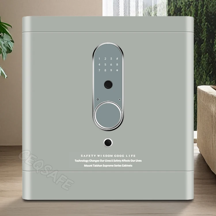CEQSAFE All Steel Fingerprint Password Remote TUYA APP WIFI Safe Large Anti-theft Safe for Home and Office Use