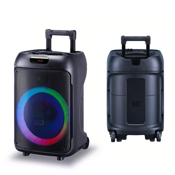 12 Inch Wireless Portable Dj Speaker With Microphone & Led