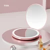 Pink Plane Mirror