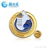 Lions badge