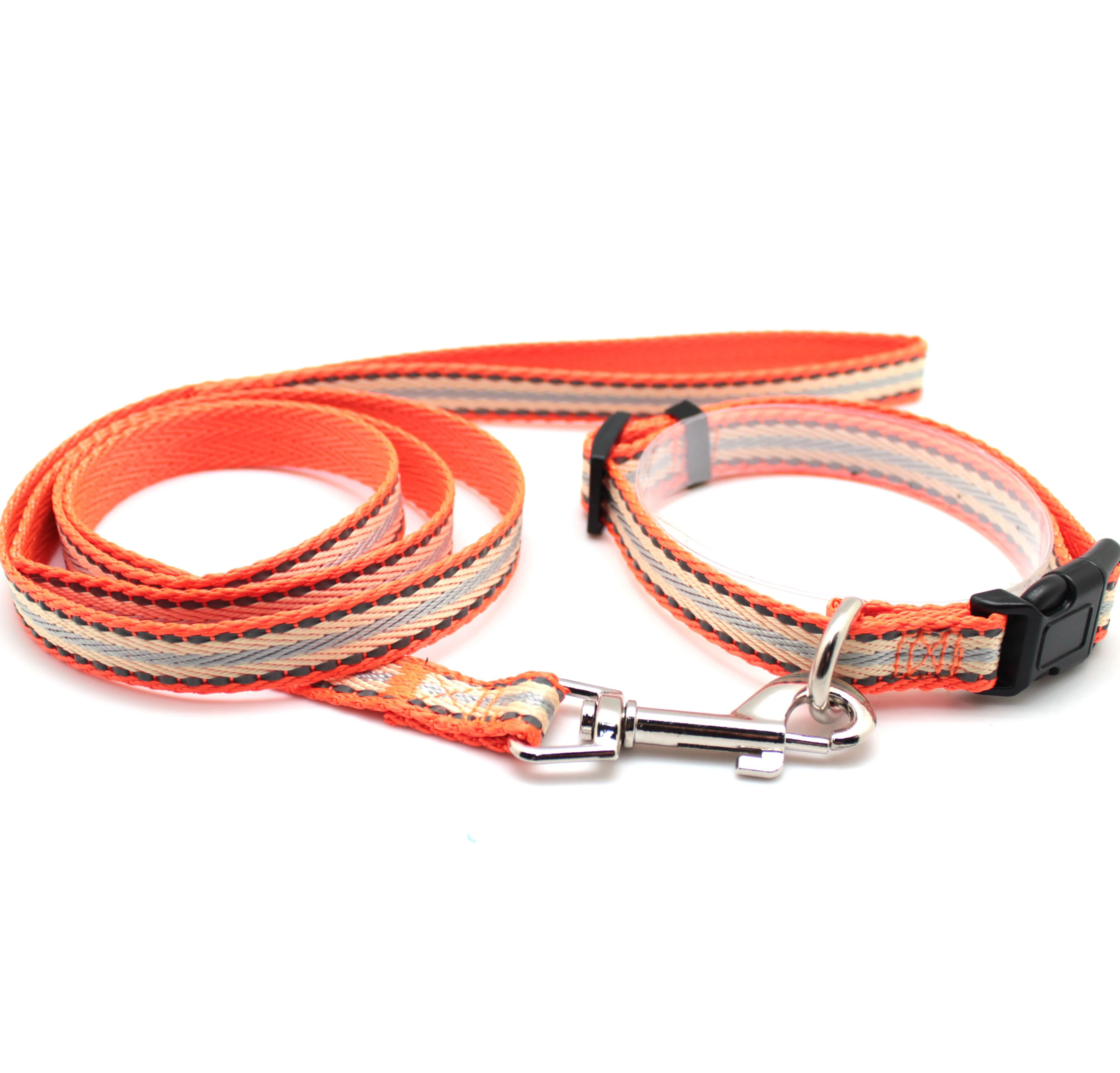 Fashionable stable colorful PP  dog leash and collar set for dog