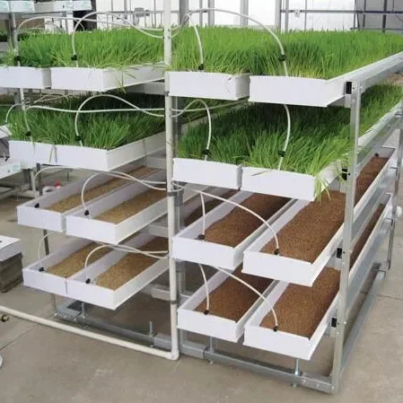 animal fodder system