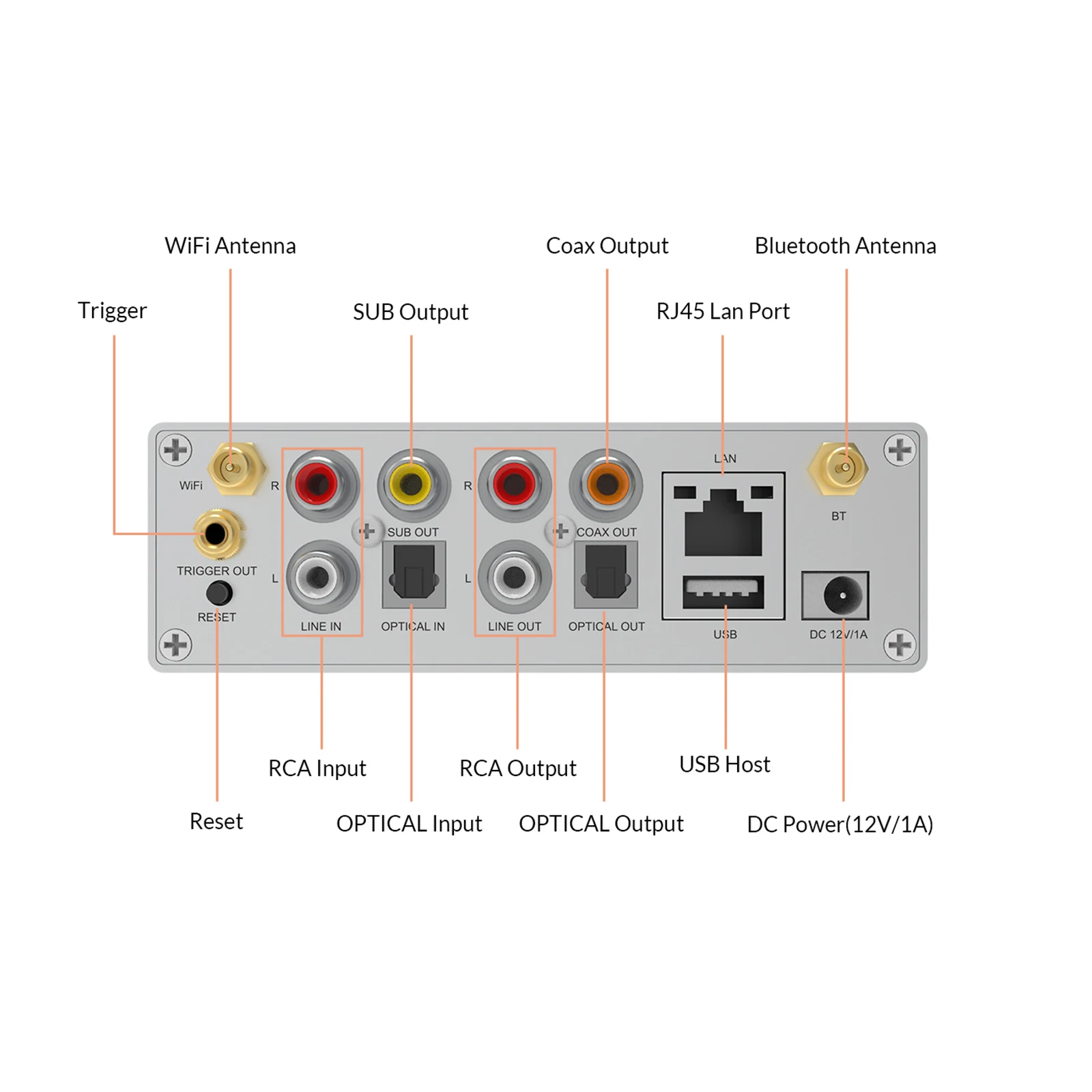 S50 Pro+ Wireless Audio Streaming Preamplifier Rca/Optical/Sub/Coax Outputs Professional Audio Streamer