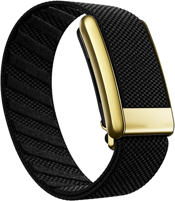 Luxe Onyx Stainless Steel Watch Band with Gold Superknit Breathable Nylon Material for WHOOP