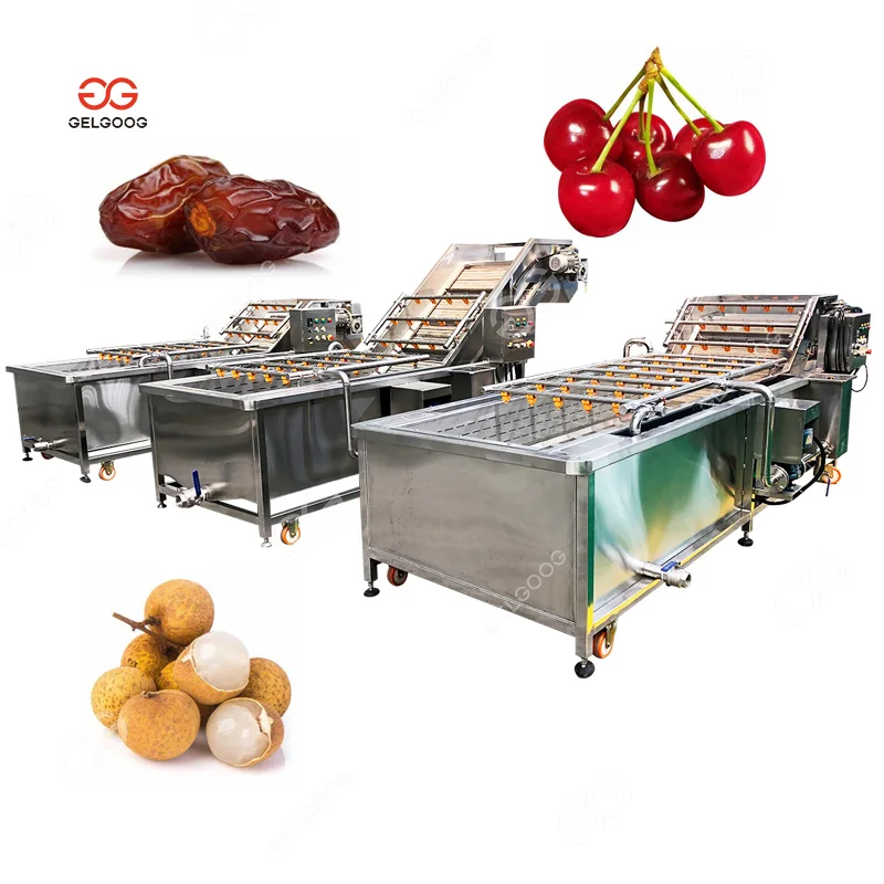 Fully Automatic Date Washing and Grading Packing Chain Palm Dates Cleaning Polishing Drying Sorting Machine