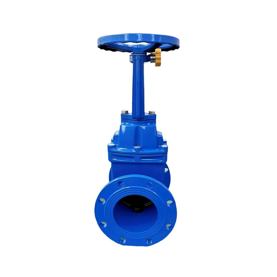 WRAS Certified Manual Lockable Rising Stem Resilient Seat Gate Valve Flange Connection Ductile Iron Body EPDM Disc for Water