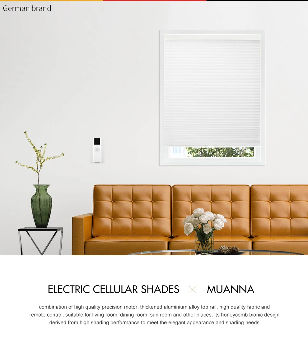 Motorized Electric Double Cell Blinds Smart Blackout/light