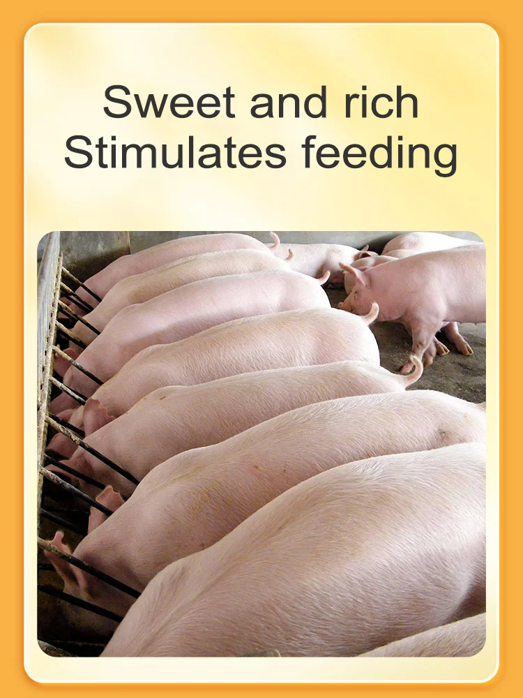 Feeding Scent Attractant For Livestock Breeding Pigs Cattle Sheep Chickens Ducks And Geese Feed