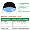 1000*H600mm-300w