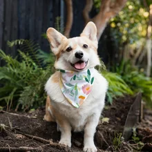 Amigo Wholesale Custom logo Printed Fashion Green Bandit Triangle Saint Patrick's Day Dog Bandana