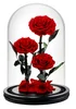 Rouge (20X30 cm) 3 roses