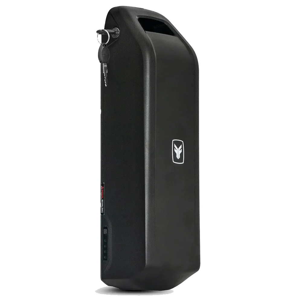 Long Range Dual Ebike 48v Hailong Case Battery 25ah Electric Bicycle