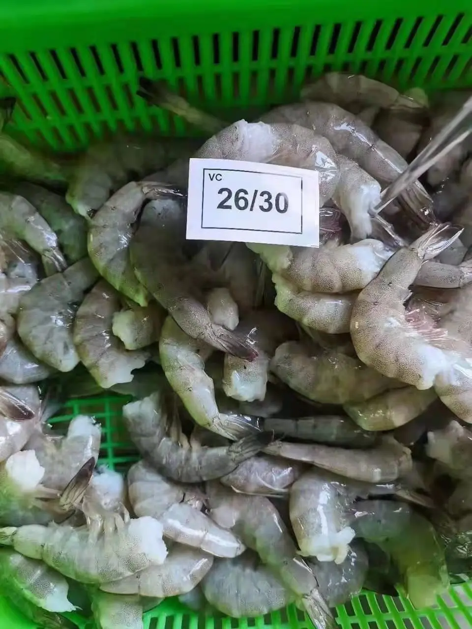 High Quality Vannamei Shrimp Frozen Shrimp Wholesale Buy Frozen Shrimp Importers In Uae