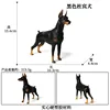 colorato 817 Doberman nero