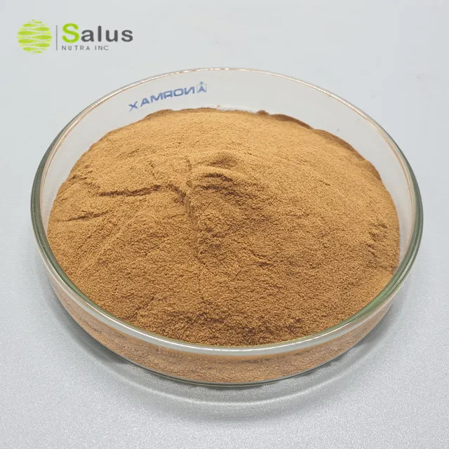 Экстракт грибов шишишика по лучшей цене