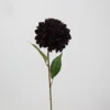 9#  Dalia elegante (viola scuro)