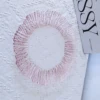 Rosa rosa