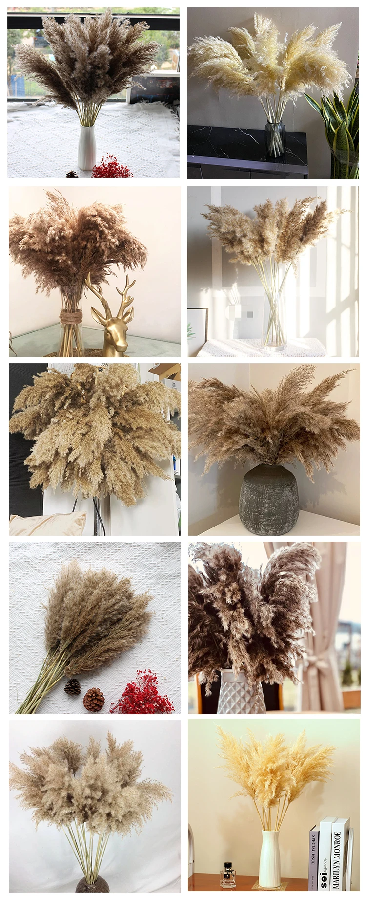 Boho Pampass Grass Bouquet Natural Dried Flower Branch Multicolor Fluffy Pampas Grass Decor Wedding Home Decoration Flowers supplier