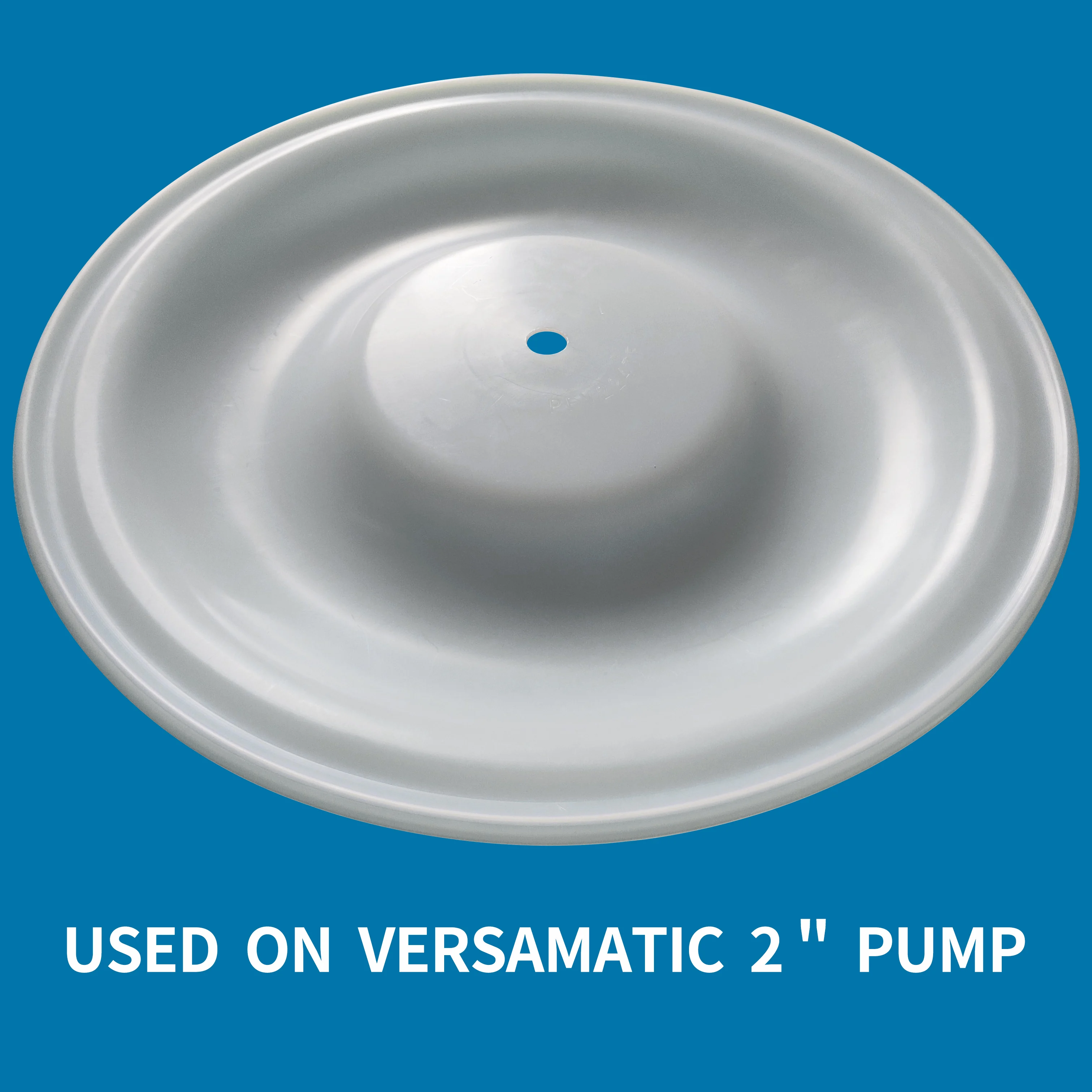 CFV224TF PTFE diaphragm