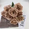 Dutch Rose