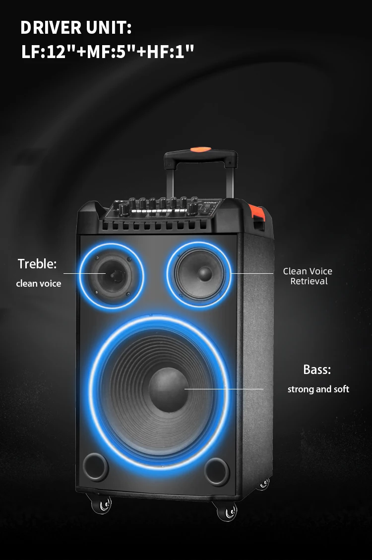 Oem 12" Wooden Karaoke Machine Dj Powered Speakers Professional Audio