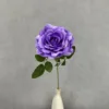 Viola intenso