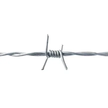 Galvanized Iron Wire Barbed Wire Protective Wall Spike for School and Kindergarten Fences Construction Application