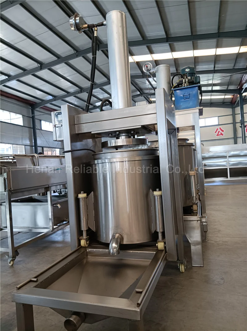 Single And Double Barrels Commercial Hydraulic Cold Press Juicer For