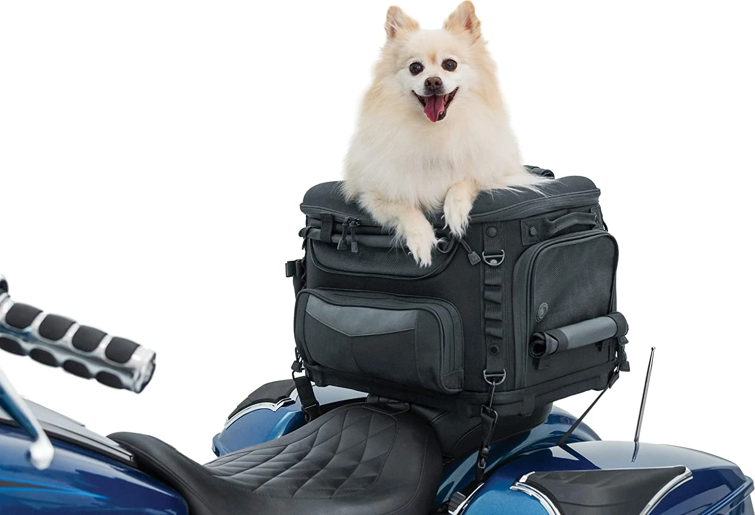  Motorcycle Pet Carrier 