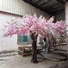 Pink2