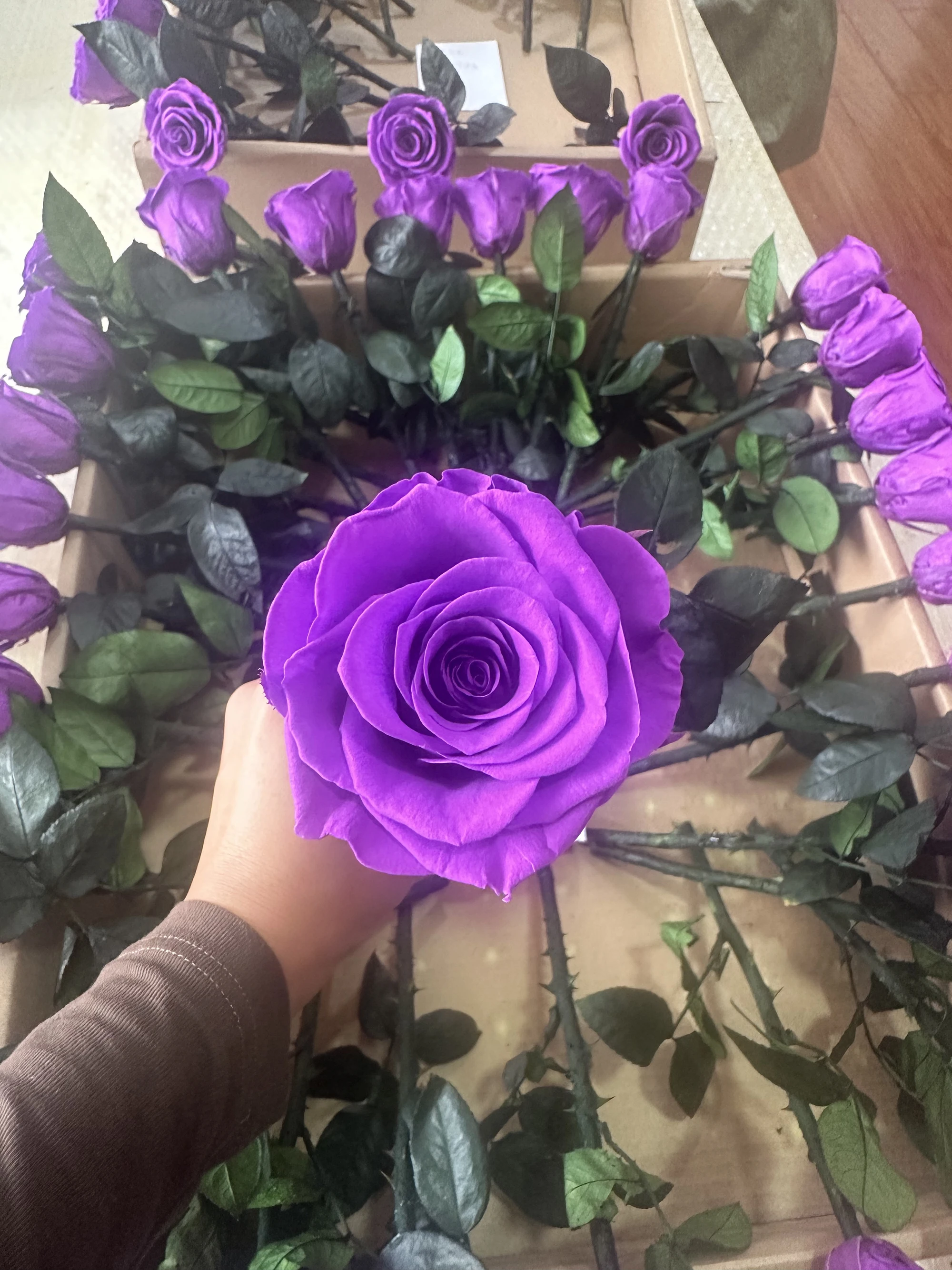 Mothers Day Gift Immortal Flower Long Stem Konservierte Rosen Infinity Eternal Forever