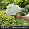 White 5-headed hydrangea