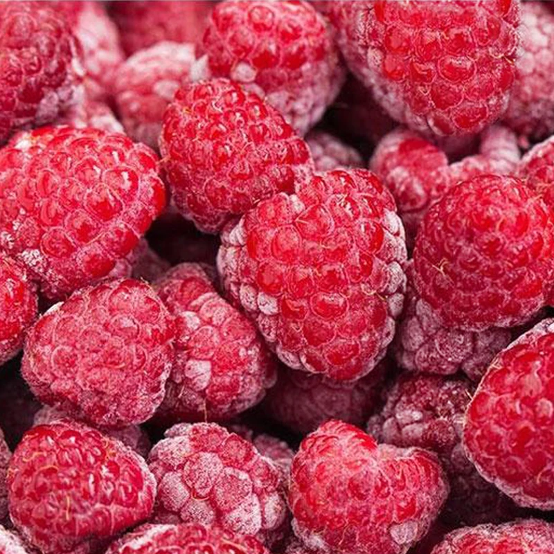 product iqf frozen whole raspberry premium freezing raspberries fruit in bulk for wholesale and retail-3