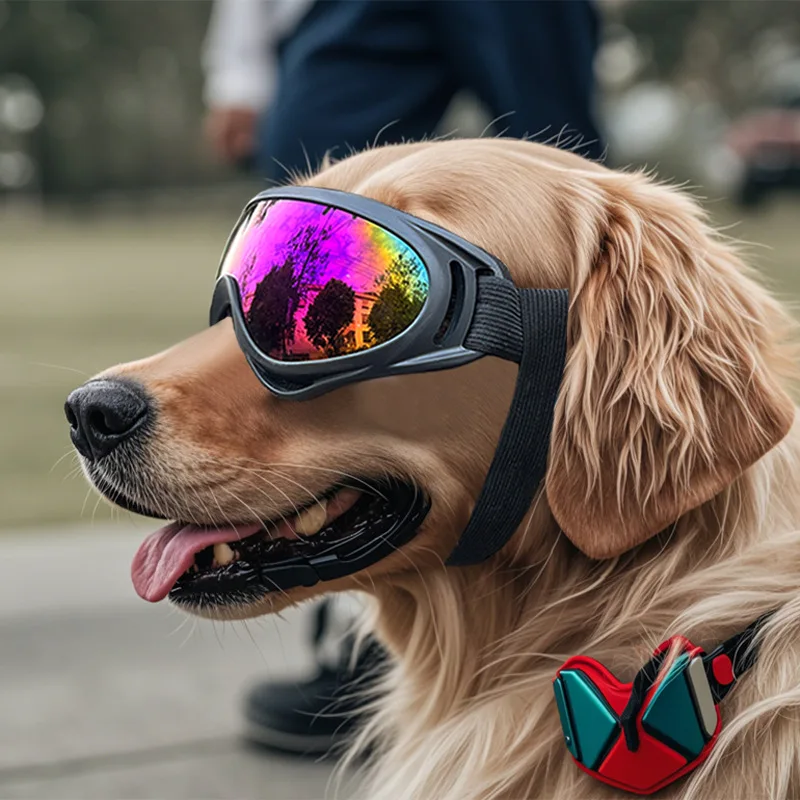 Lunettes de soleil pour chien coupe-vent toutes saisons_voghion.com