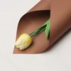 Caramelo