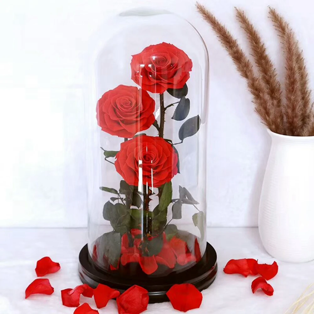 Beautiful A Grade Real Touch Preserved Rose Head 56 Cm Rose Bud 6