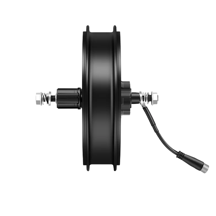 Technology Production Mid 2000w Electric Bicycle 20 Inc Fat Bike Hub Motor 1500 Watt