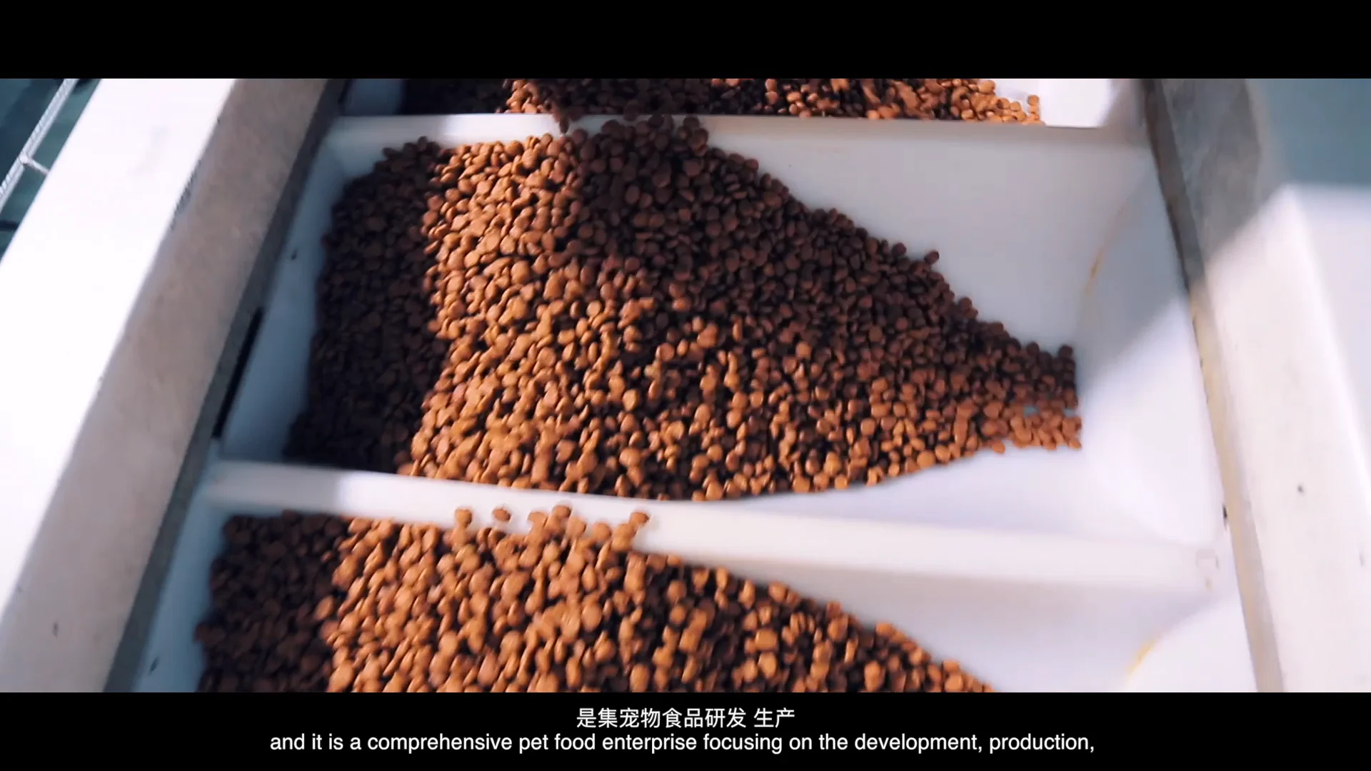 Oem Odm Multiple Various Flavors Dog Food Chinese Pet Food Buy Pet