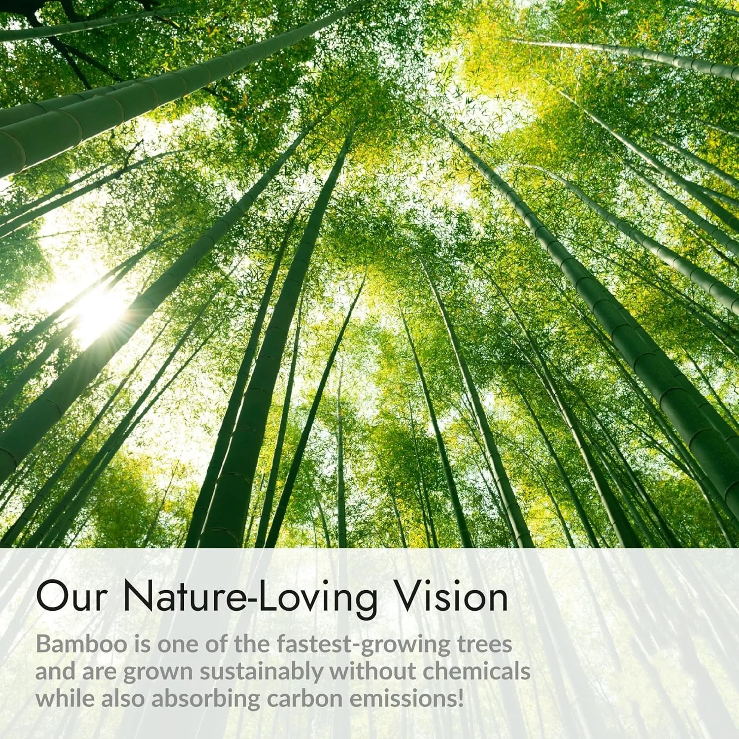 Wholesale Organic Bamboo Bed Sheets Customized Size Bamboo Sheet Sets