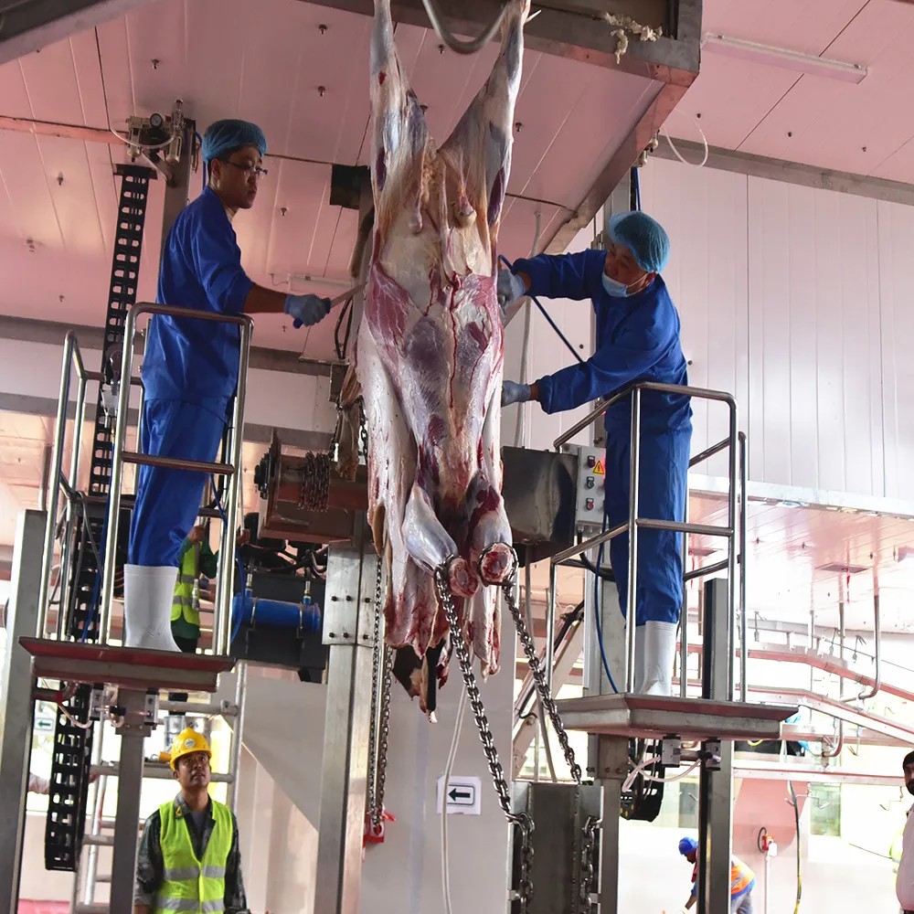New halal cattle and sheep slaughterhouse buffalo slaughtering machinery slaughtering equipment