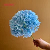 #12 hortensias de cabeza grande azul - 18 cm