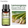 SY5522-15Lemongrass