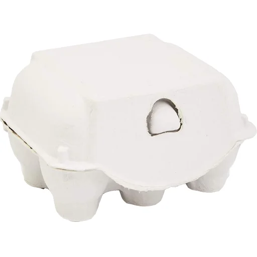 Biodegradable Duck Egg Cartons Half Dozen Egg Cartons Blank Flat Top