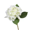 White 4