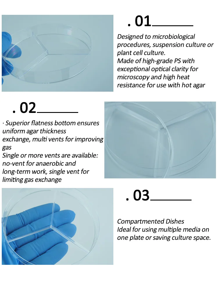 two compartment petri dish