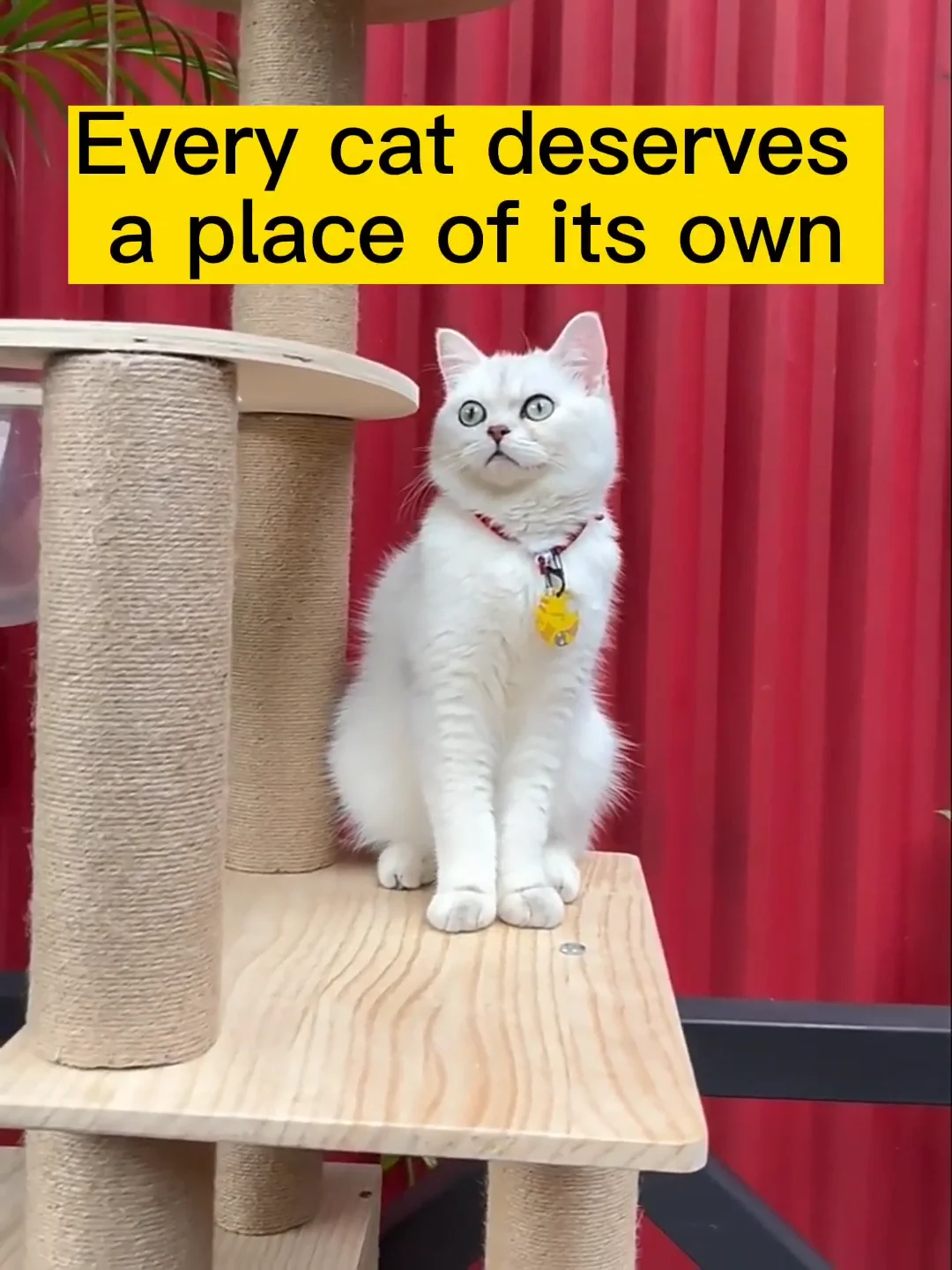 Modern Wood Cat Tree House Tower 63inch With Multilayer Platform Tall