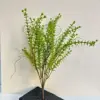 Modelo de planta acuática de plástico de 35 cm, 5 unidades, verde claro.