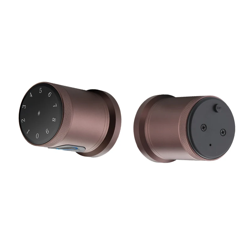 Ttlock App Biometrics Automatic Smart Cerradura Inteligente Puerta Exterior De Seguridad Fingerprint Keyless Room Door Lock