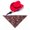 Sombrero de vaquero rojo, pañuelo triangular rojo oscuro.
